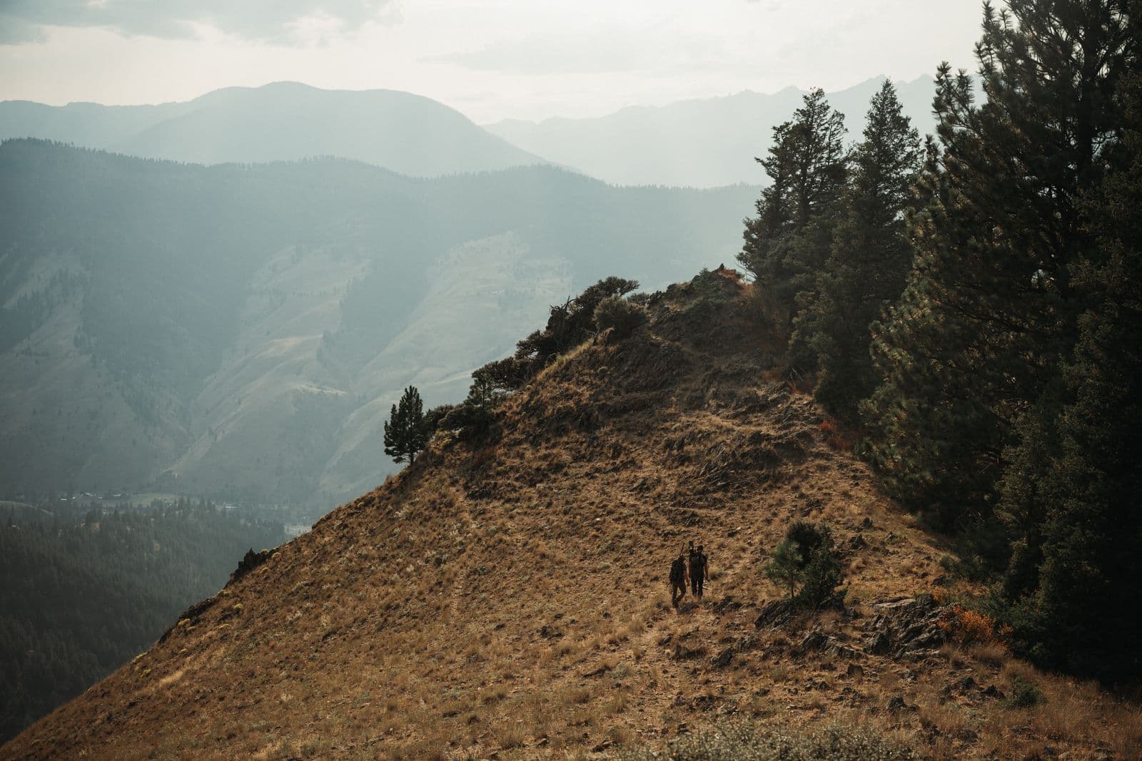 Airsoft rifle background